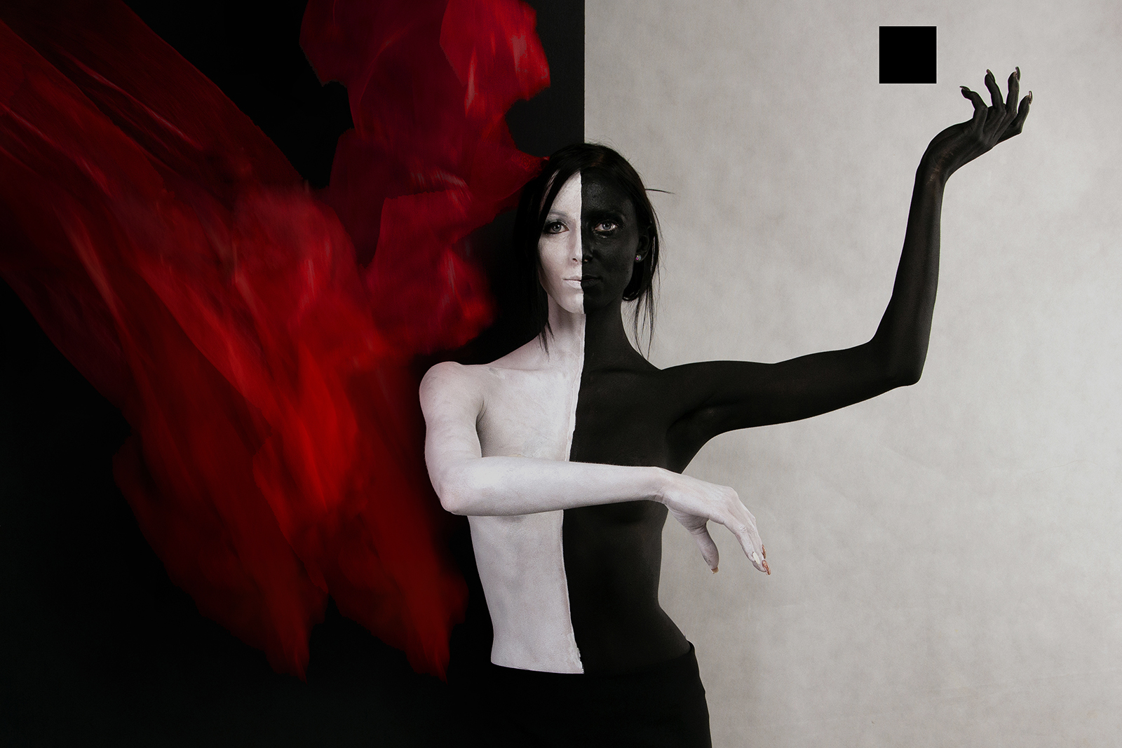 7.  《双重意识》亚诺什·艾费特（匈牙利）.jpg